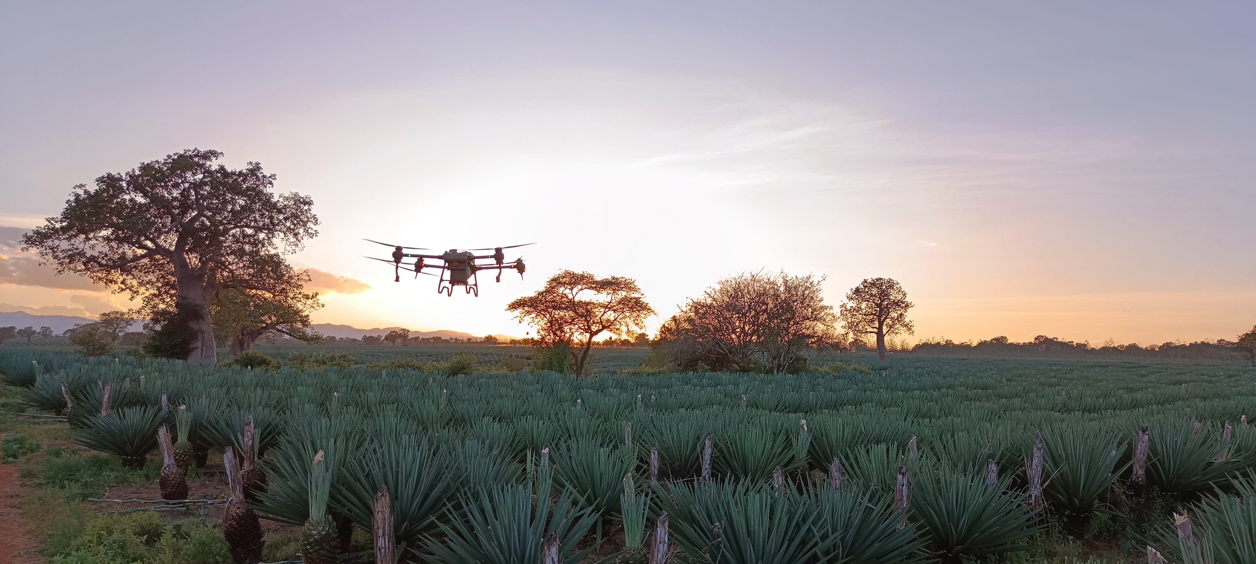 Spraying using drones