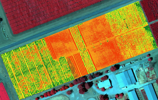 NDVI example